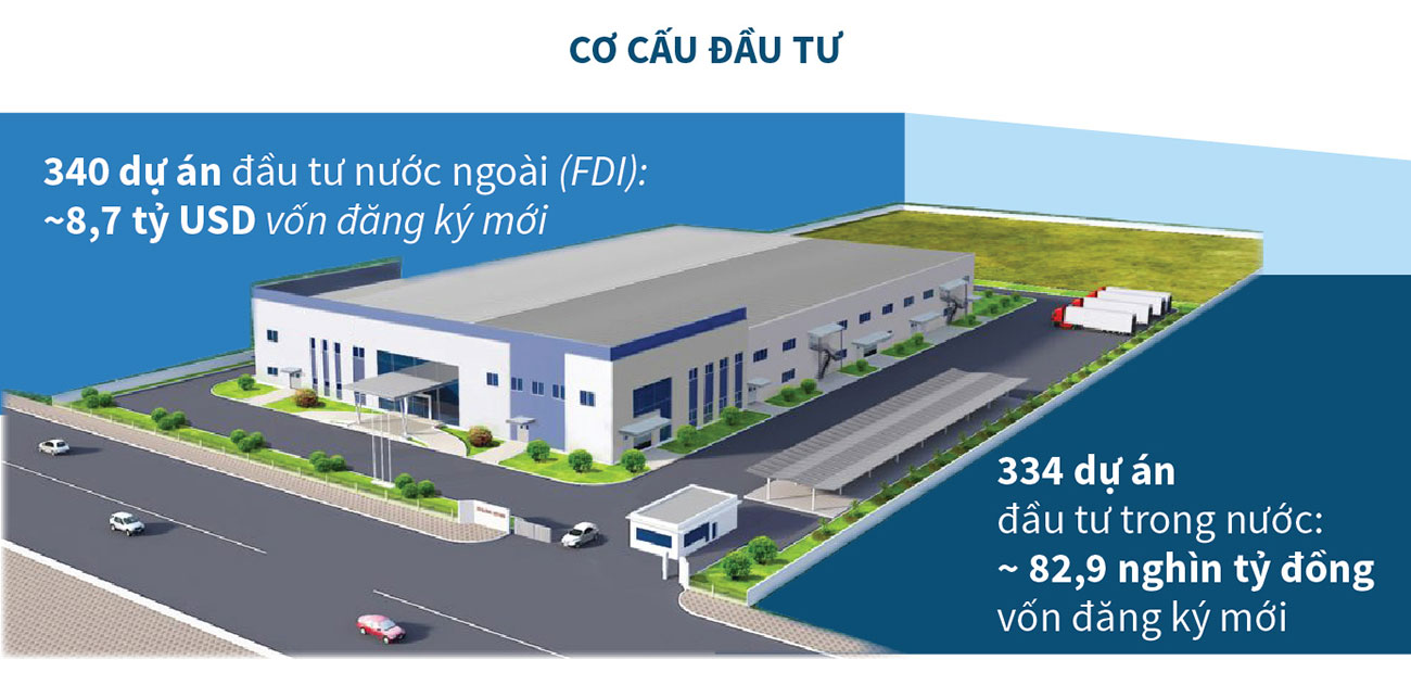 co-cau-info-fd i-2019.jpg